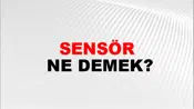 Sensör