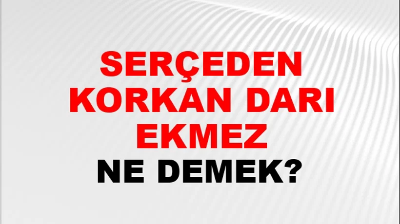 Serçeden Korkan Darı Ekmez Serçeden Korkan Darı Ekmez