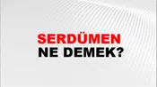 Serdümen