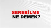 Serebilme