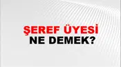 Şeref Üyesi