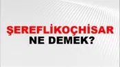 Şereflikoçhisar