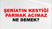 Şeriatın Kestiği Parmak Acımaz