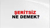 Şeritsiz