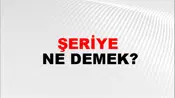Şeriye