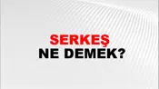 Serkeş