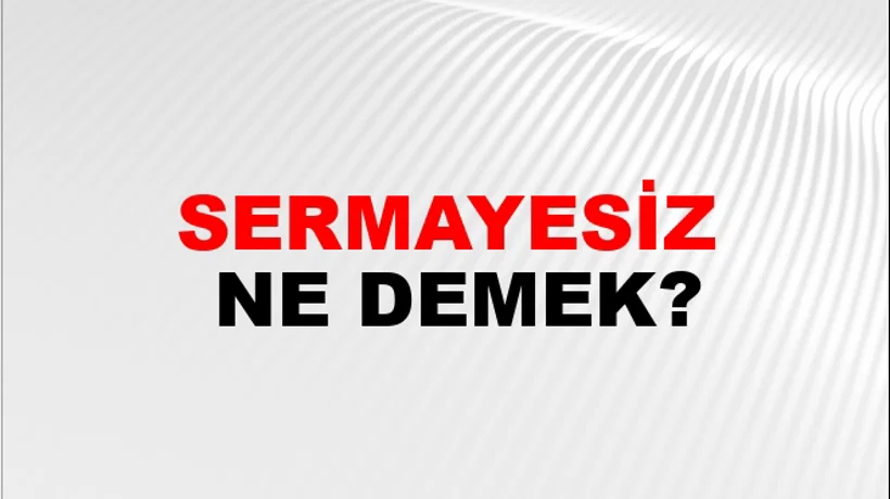Sermayesiz Sermayesiz