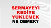 Sermayeyi Kediye Yüklemek