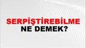 Serpiştirebilme