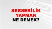 Serserilik Yapmak (Veya etmek)
