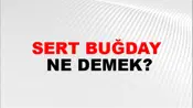 Sert Buğday