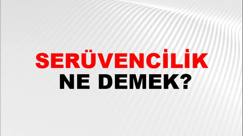 Serüvencilik Serüvencilik