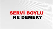 Servi Boylu