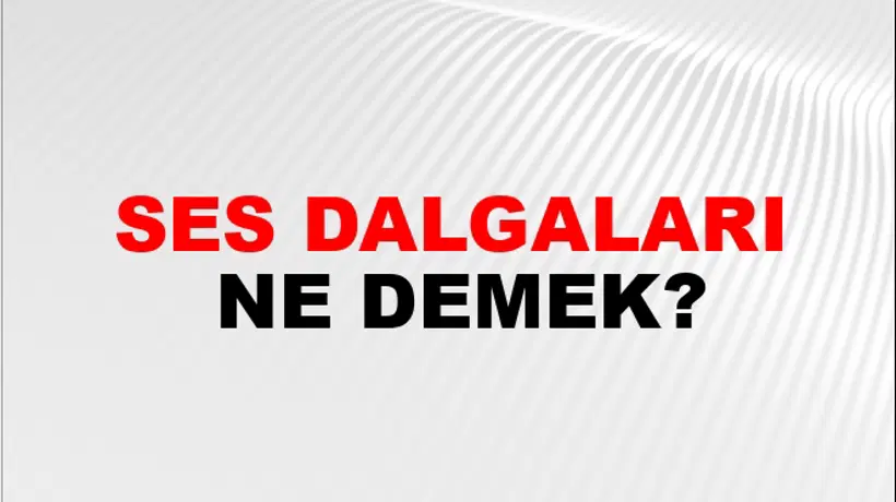 Ses Dalgaları Ses Dalgaları