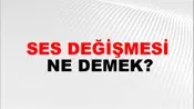 Ses Değişmesi