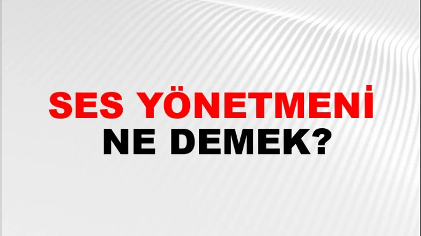 Ses Yönetmeni Ses Yönetmeni