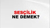 Sesçilik