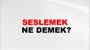 Seslemek