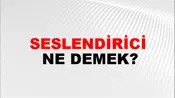 Seslendirici