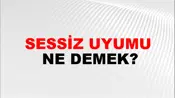 Sessiz Uyumu