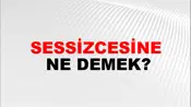 Sessizcesine