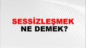 Sessizleşmek
