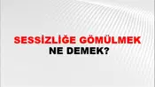 Sessizliğe Gömülmek