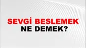 Sevgi Beslemek