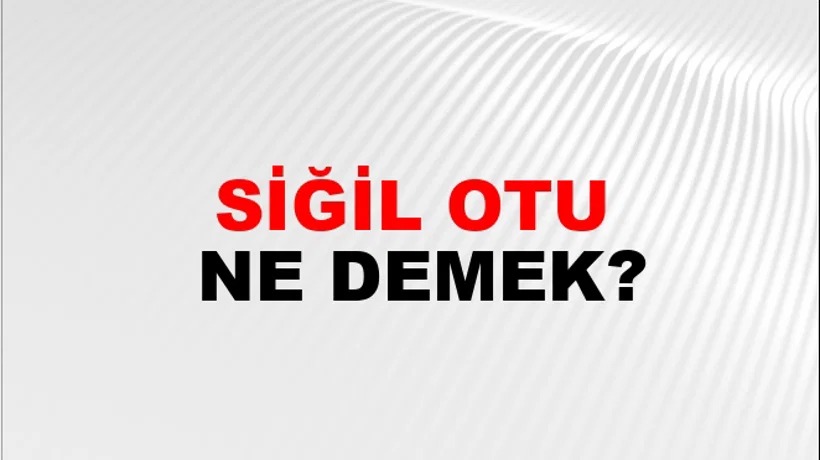 Siğil Otu Siğil Otu