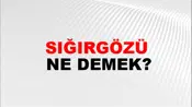 Sığırgözü
