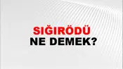 Sığırödü