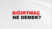 Sığırtmaç