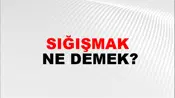 Sığışmak