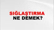Sığlaştırma