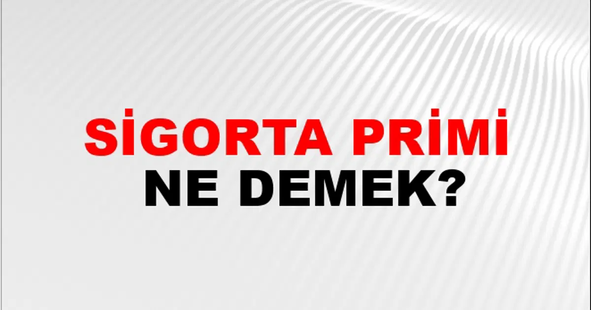 Prinmi Sigorta Primi Nasıl Yazılır? | NTV Haber