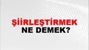 Şiirleştirmek