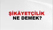Şikâyetçilik