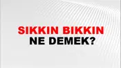 Sıkkın Bıkkın