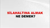 Silahaltına Almak