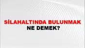 Silahaltında Bulunmak