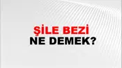 Şile Bezi