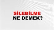 Silebilme