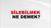 Silebilmek