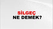 Silgeç