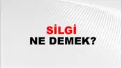 Silgi