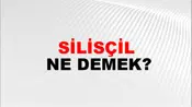 Silisçil