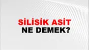 Silisik Asit