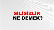 Silisizlik