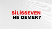 Silisseven