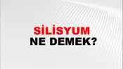 Silisyum